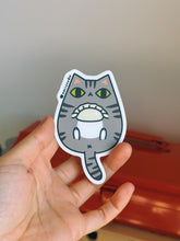 Classic Tabby Cat with Chinese Dumpling Vinyl Sticker by Noristudio