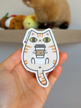 cream tabby cat vinyl sticker by Noristudio