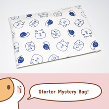 Noristudio Starter Mystery Bag