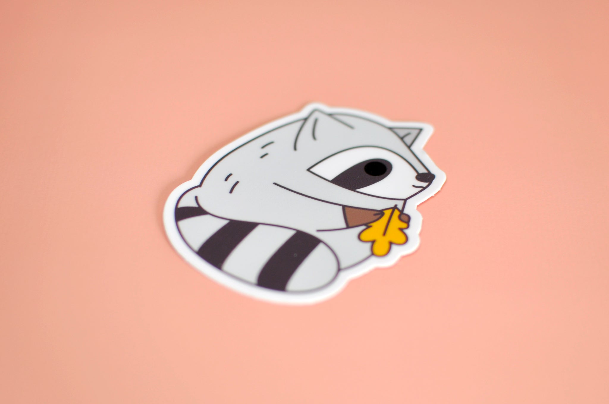 Fat Raccoon Holding Oak Leaf Vinyl Sticker – Noristudio